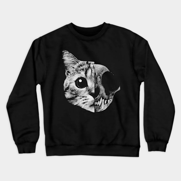 Schrödinger's cat Crewneck Sweatshirt by Evarcha